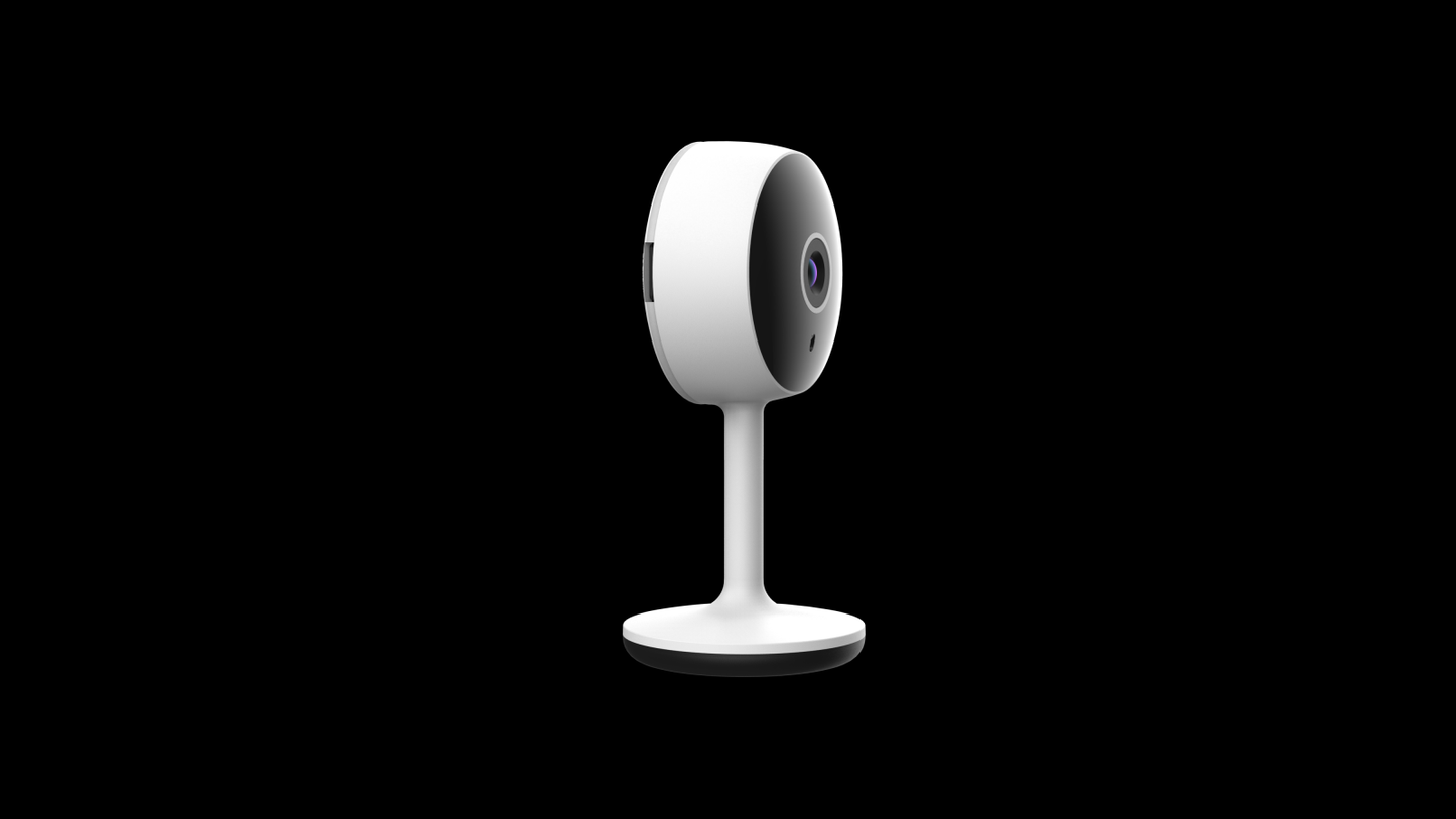 Smart IP camera 230V 1080p EU