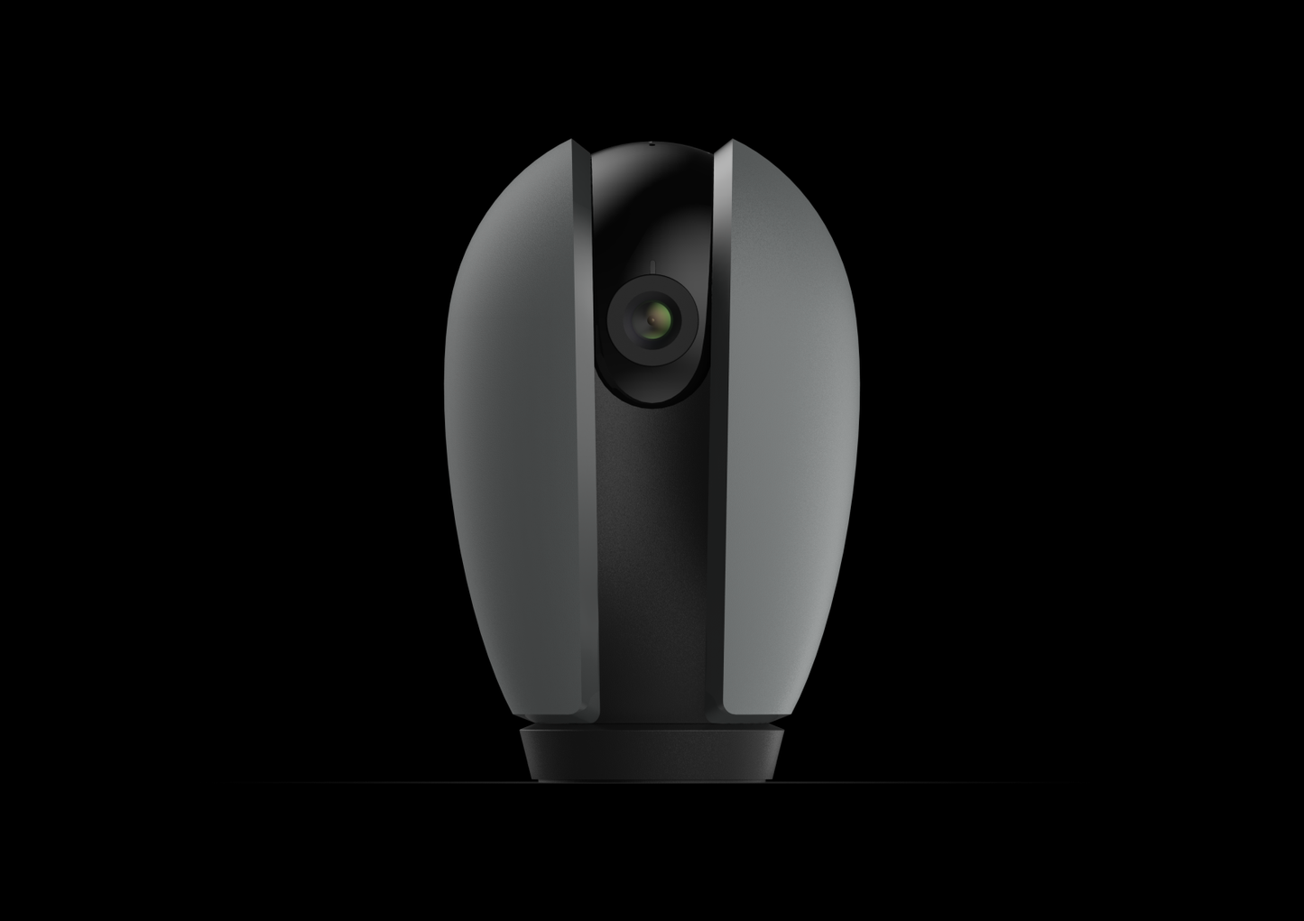 Smart IP camera 230V 1080p EU