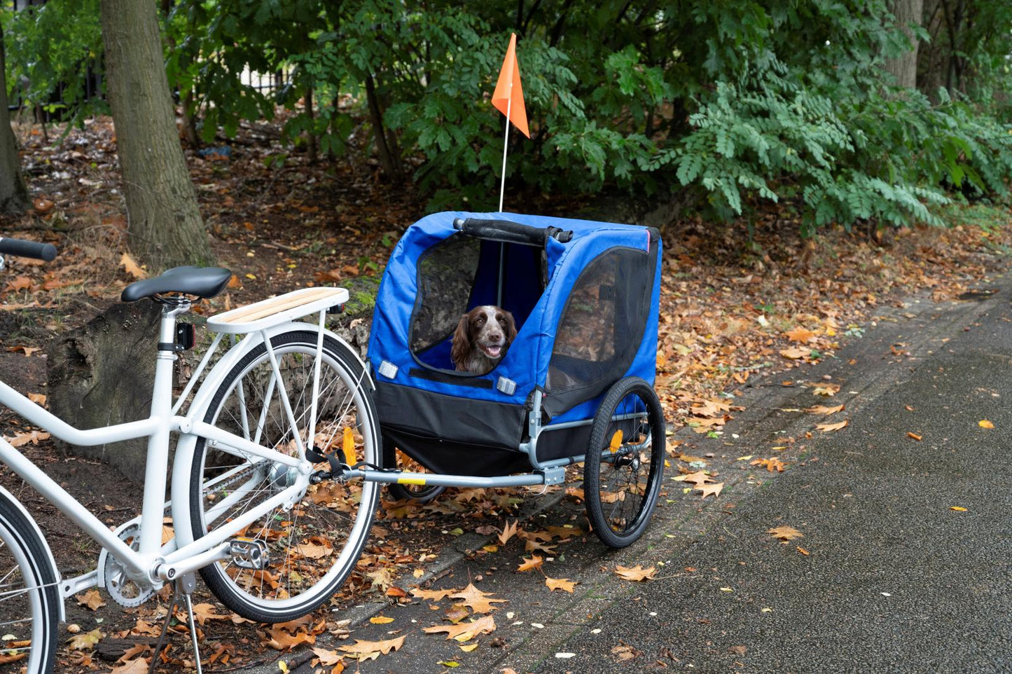 Pet bike carrier