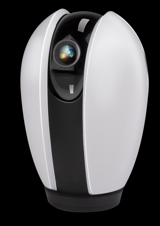 Smart IP camera 230V 1080p EU