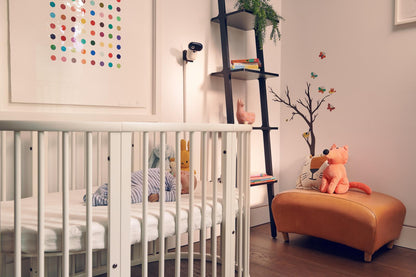 Baby monitor PIP1610 HD Con
