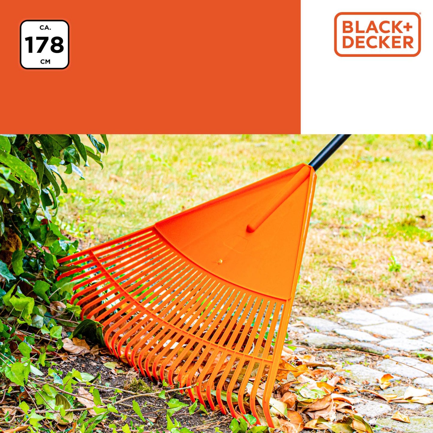 Rake poly fan