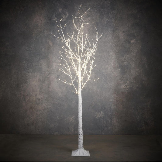 Birch white 600led w/timer