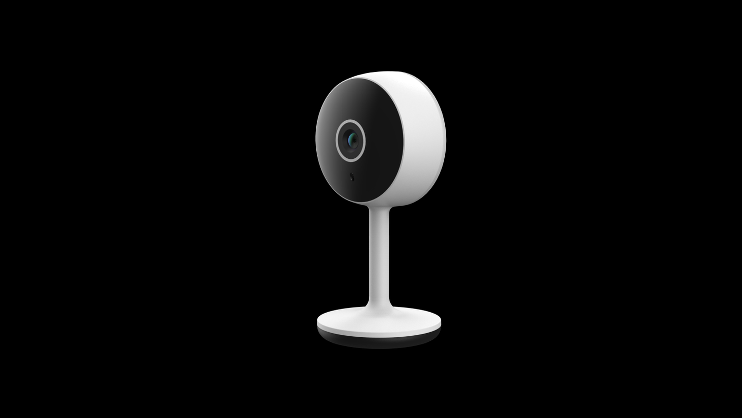Smart IP camera 230V 1080p EU