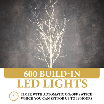 Birch white 600led w/timer