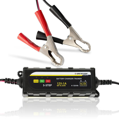 Smart Charger Battery 1A DL PL