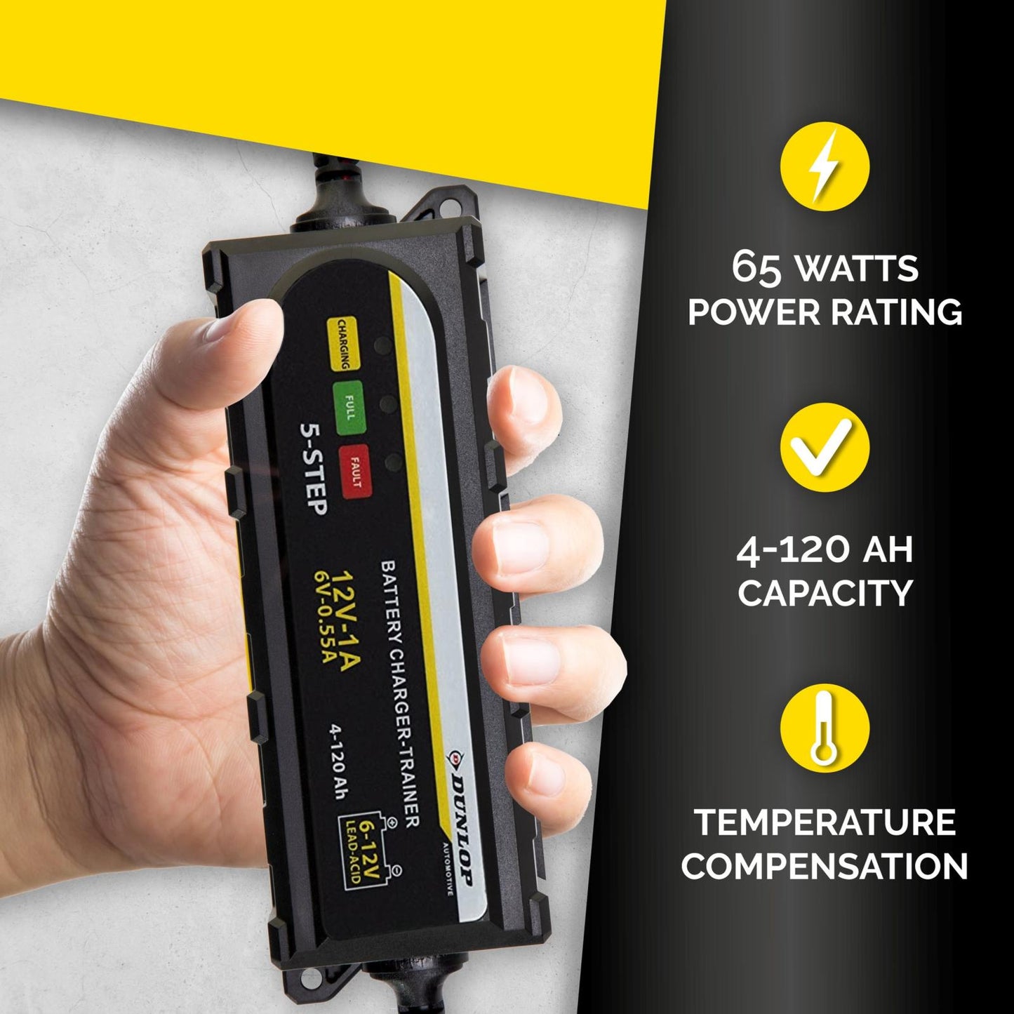 Smart Charger Battery 1A DL PL